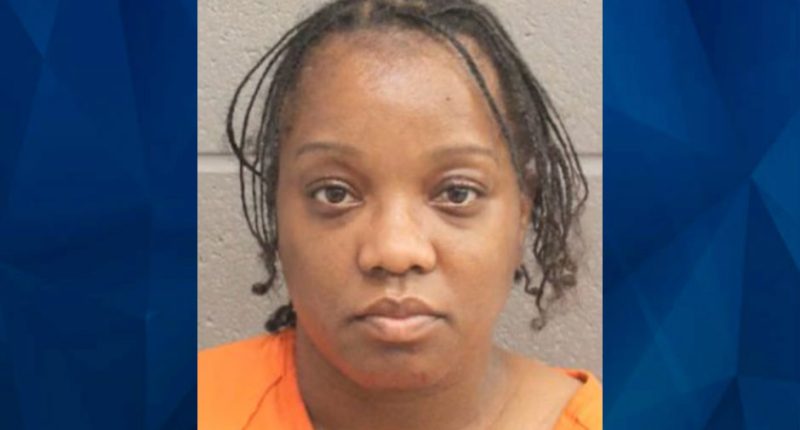 Babysitter Charged With Drowning Cousin’s 4-Year-Old Daughter