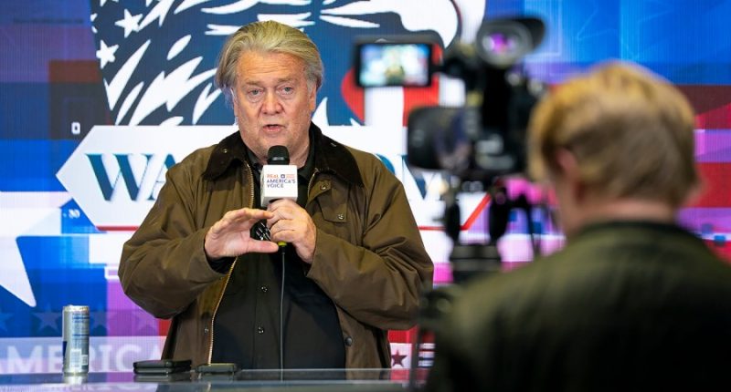 Bannon says Musk deploying DOGE 'shock troops': 'Not pretty,' but 'pretty effective'