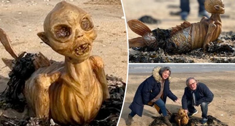 Beachgoers baffled after finding skeleton-like figure with fins