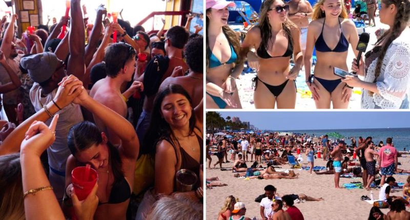 Bikini-clad spring-breakers fail US citizenship questions in wild video