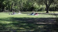 People stretching on blankets in a park.
