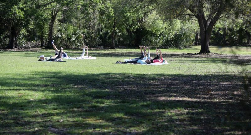 People stretching on blankets in a park.