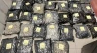 Numerous bags of confiscated drugs.