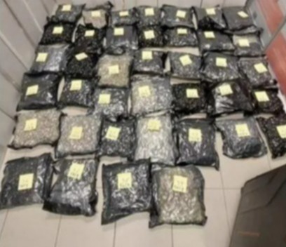 Numerous bags of confiscated drugs.
