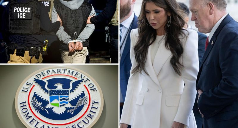 DHS staffer was punished after she accidentally included reporter on email about upcoming ICE operation: report