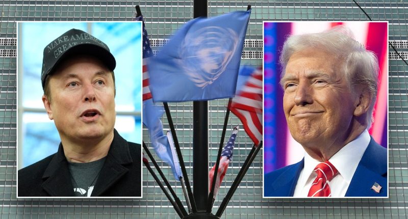 DOGE USAID budget cuts hit UN in 'worst liquidity crisis since its establishment'