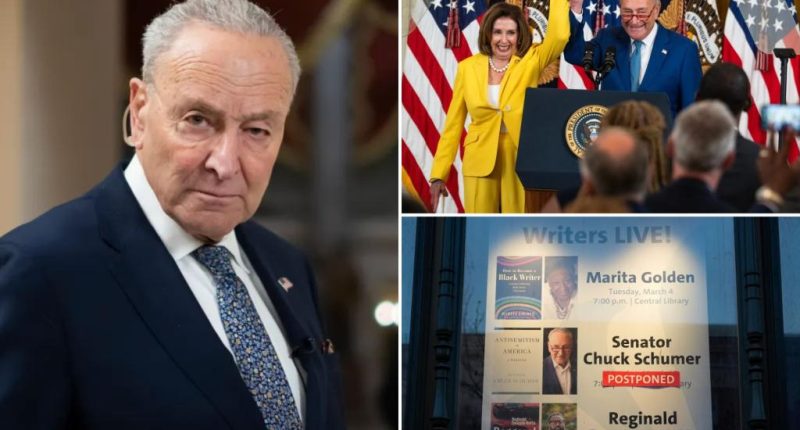 Defiant Chuck Schumer hits back at Nancy Pelosi, vows 'I'm not stepping down'
