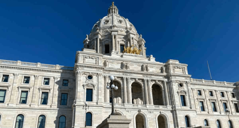 Democrat wins special election for Minnesota state House seat