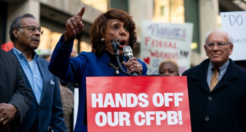 Democrats dropping more f-bombs than in 'The Big Lebowski': Former Bush spokesperson
