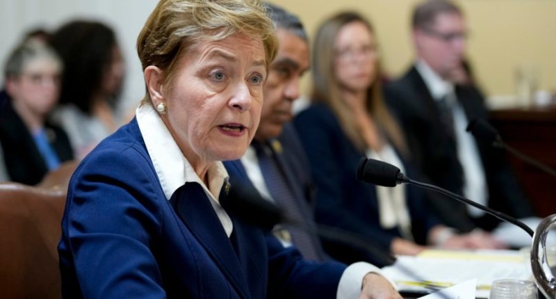 Democrats go full McCarthy with attacks on Musk's nationality, loyalties 
