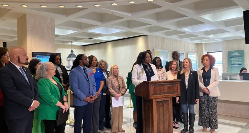 Democrats push to investigate Florida insurance companies