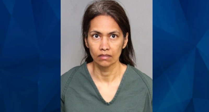 Disneyland Vacation Turns into Mother’s Arrest for the Stabbing Child Dead