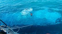 Submerged object in clear blue water near a boat.