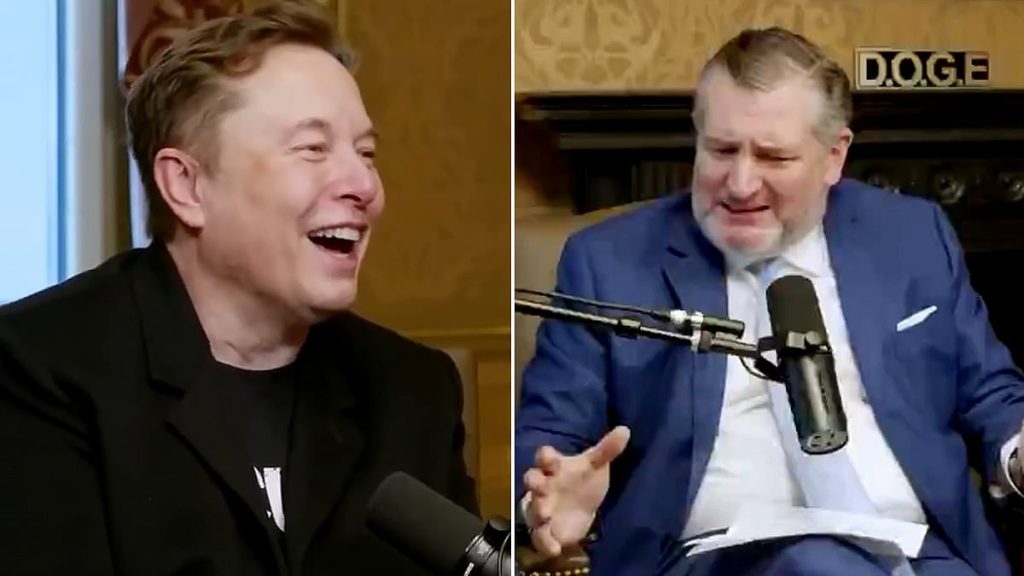 Elon Musk reveals DOGE has found 14 'magic money computers'