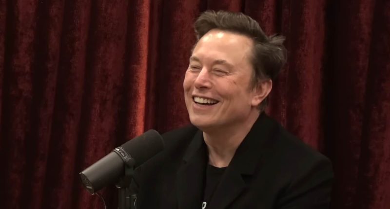 Elon Musk reveals 'biggest Ponzi scheme' he's unmasked through DOGE