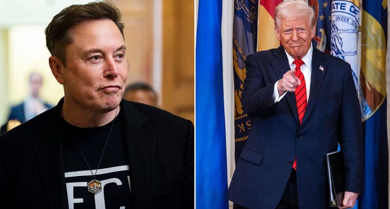 Elon Musk summoned to Pentagon for mystery meeting on military plans