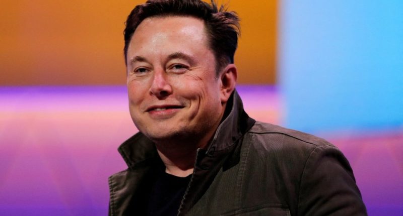 Elon Musk is the father of a large brood of children