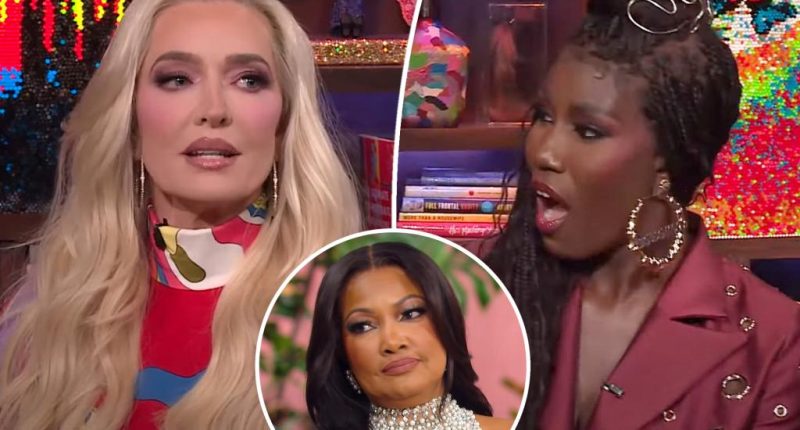 Erika Jayne, Bozoma Saint John on Garcelle Beauvais quitting 'RHOBH'