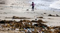 Person walking dog on beach littered with trash and debris.