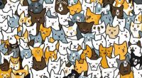 Illustration of a hidden rabbit among many cats.