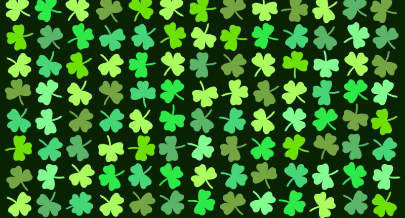 Illustration of many shamrocks, one of which has four leaves.