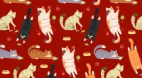 Illustration of cats playing with yarn and toys.