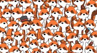 Illustration of three foxes hidden among many red pandas.