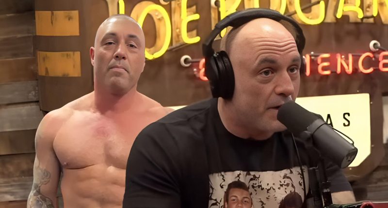 Experts Say Joe Rogan's Diet Can Cause 'Painful' Kidney Stones And More
