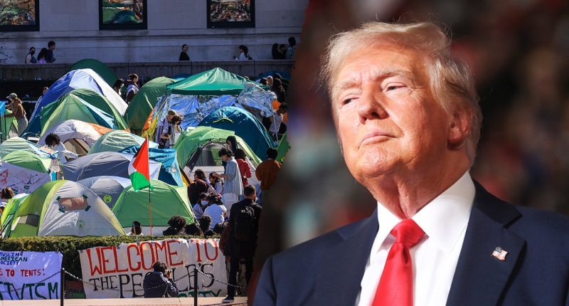 Federal judge blocks detention of Columbia anti-Israel protester Yunseu Chung