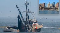 Fishermen pull decomposed body out of the water off Massachusetts coast