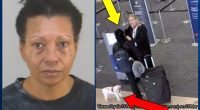 Florida Woman Drowns Mini Schnauzer in Airport Bathroom After Dog Couldn’t Board Flight