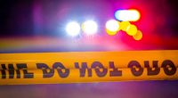 Florida man was naked, hallucinating on mushrooms when he killed his mother, police say
