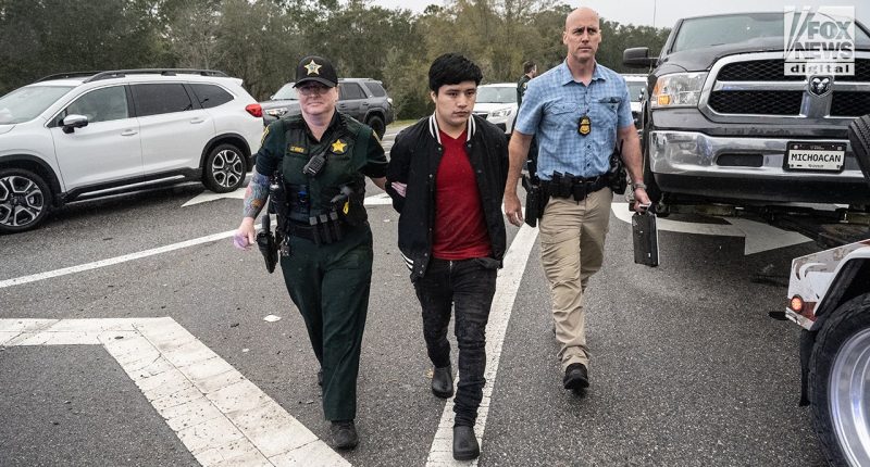 Florida sheriff partners with ICE to nab illegal migrants in plain sight