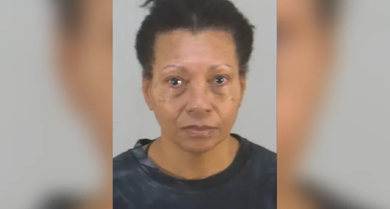 Florida woman charged for drowning dog in airport toilet after it was barred from traveling: police