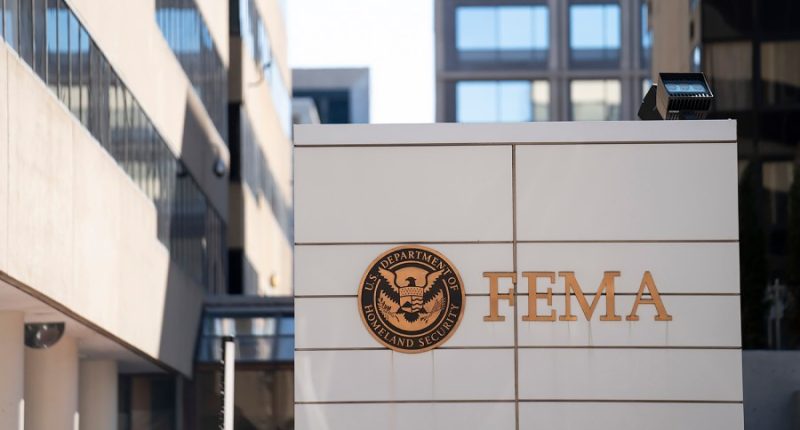 Former FEMA CEO sues after firing over New York grant to house migrants