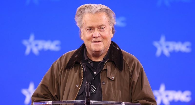 Gavin Newsom drops bombshell Elon Musk claim on podcast with Bannon