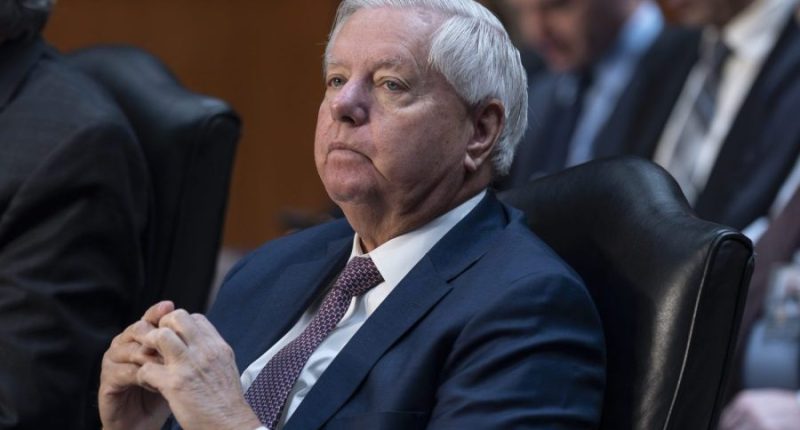 Graham on Ukraine aid pause: 'If we pull the plug on Ukraine, it'd be worse than Afghanistan'