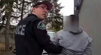 Hapless toy thief caught stealing $10,000 worth of Legos in Washington
