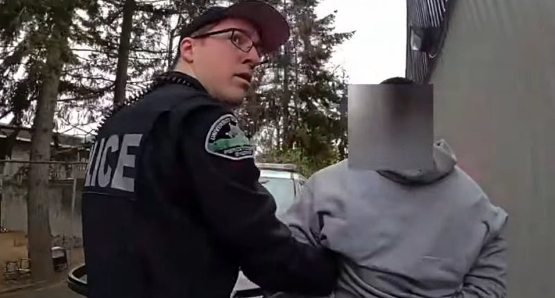 Hapless toy thief caught stealing $10,000 worth of Legos in Washington