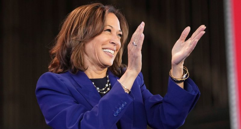 Harris widely favored to lead Dems in 2028, poll shows