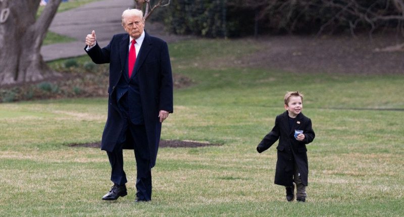 Heartwarming photos of Trump with Musk’s son 'Lil X' go viral
