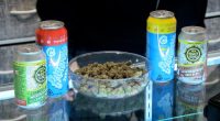 Hemp-infused drinks gain popularity: Florida lawmakers fight to curb underage drinking