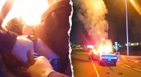 Hero police officer rescues unconscious driver from blazing wreckage