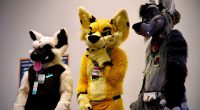 Three people in animal costumes at a furry convention.