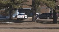 Police cars outside a high school.
