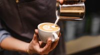 Highest-rated cafes in the Tampa area by diners