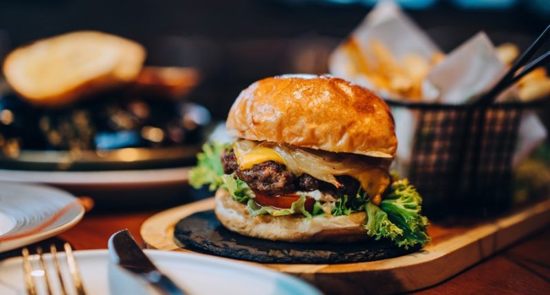 Highest-rated restaurants for burgers in the Tampa area by diners