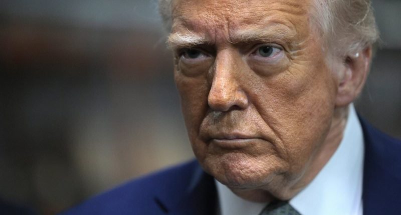 Hollywood stars beg Trump for help months after calling him a 'pig'