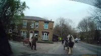 Horse and cart on a residential street.