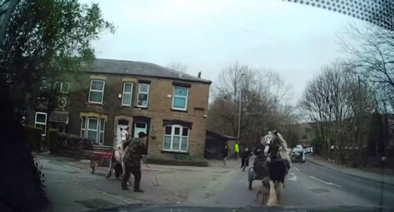 Horse and cart on a residential street.